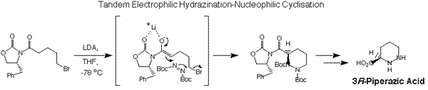 Electrophilic hydrazination reaction