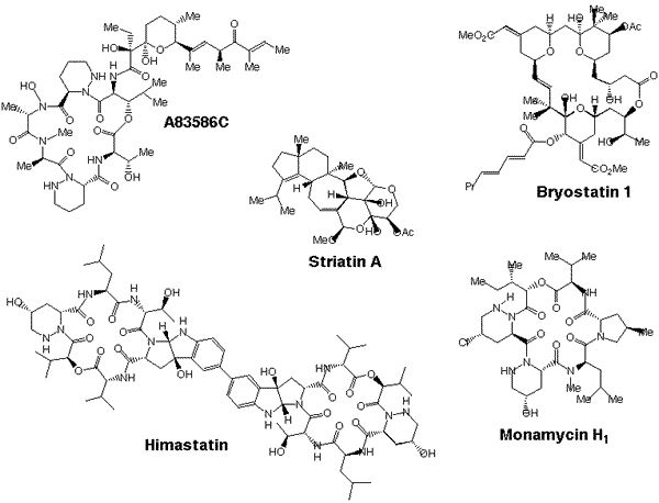 Target molecules studied by the Hale group