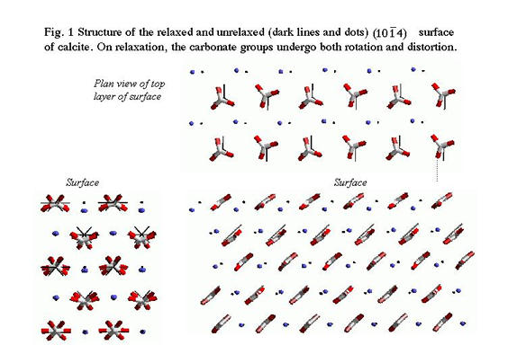 Structure of the relaxed and unrelaxed (10(-1)4) surface of calcite